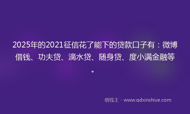 2025年的2021征信花了能下的贷款口子有：微博借钱、功夫贷、滴水贷、随身贷、度小满金融等。