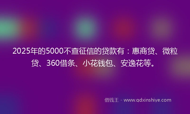 2025年的5000不查征信的贷款有：惠商贷、微粒贷、360借条、小花钱包、安逸花等。