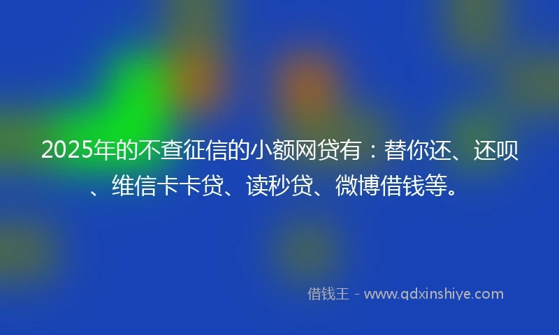 2025年的不查征信的小额网贷有：替你还、还呗、维信卡卡贷、读秒贷、微博借钱等。