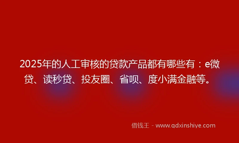 2025年的人工审核的贷款产品都有哪些有：e微贷、读秒贷、投友圈、省呗、度小满金融等。
