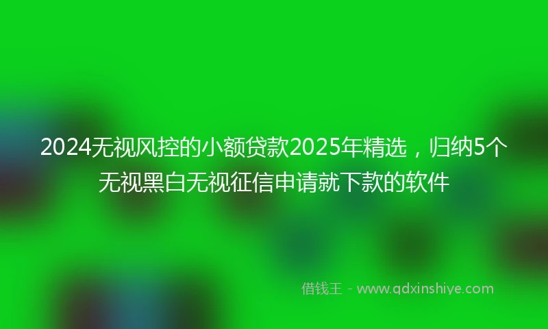2024无视风控的小额贷款2025年精选，归纳5个无视黑白无视征信申请就下款的软件