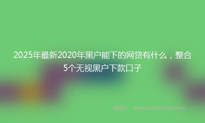 2025年最新2020年黑户能下的网贷有什么，整合5个无视黑户下款口子