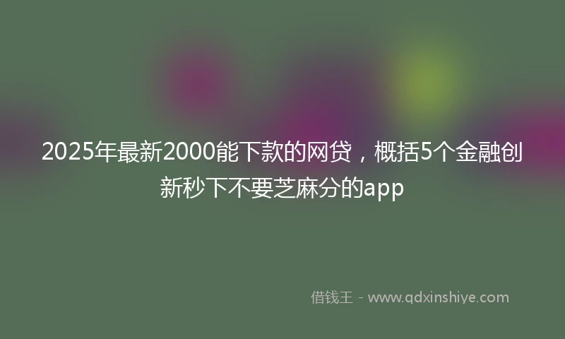 2025年最新2000能下款的网贷，概括5个金融创新秒下不要芝麻分的app