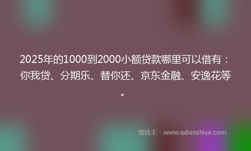 2025年的1000到2000小额贷款哪里可以借有：你我贷、分期乐、替你还、京东金融、安逸花等。