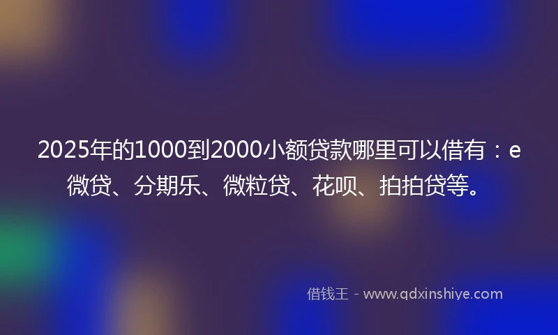 2025年的1000到2000小额贷款哪里可以借有：e微贷、分期乐、微粒贷、花呗、拍拍贷等。