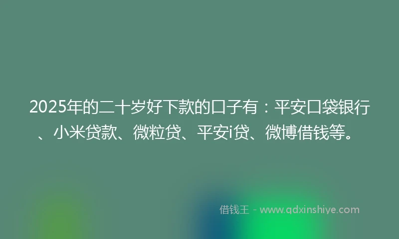 2025年的二十岁好下款的口子有：平安口袋银行、小米贷款、微粒贷、平安i贷、微博借钱等。