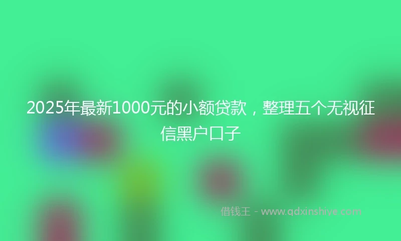 2025年最新1000元的小额贷款，整理五个无视征信黑户口子