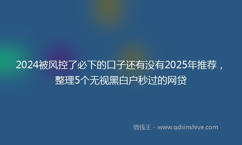2024被风控了必下的口子还有没有2025年推荐，整理5个无视黑白户秒过的网贷
