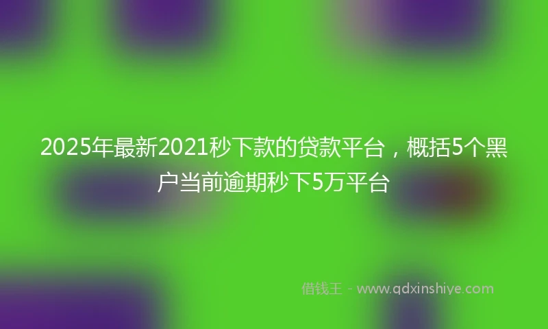 2025年最新2021秒下款的贷款平台，概括5个黑户当前逾期秒下5万平台