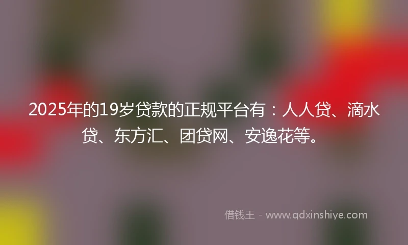 2025年的19岁贷款的正规平台有：人人贷、滴水贷、东方汇、团贷网、安逸花等。