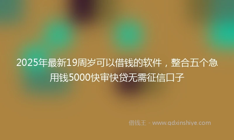 2025年最新19周岁可以借钱的软件，整合五个急用钱5000快审快贷无需征信口子