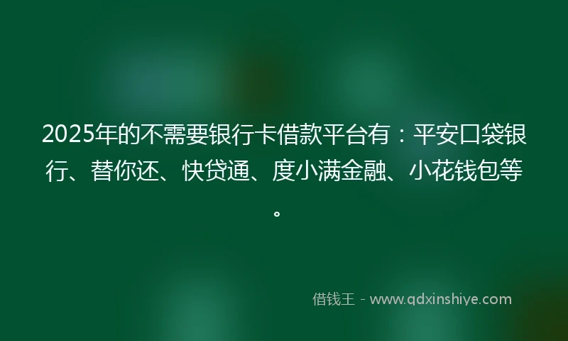 2025年的不需要银行卡借款平台有：平安口袋银行、替你还、快贷通、度小满金融、小花钱包等。