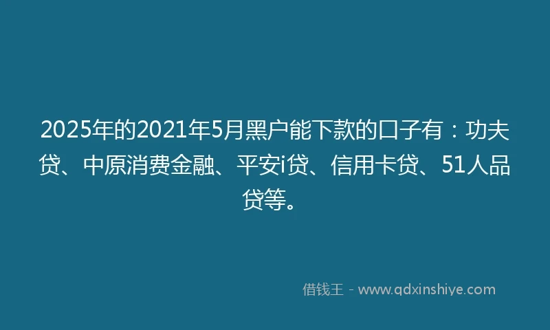 2025年的2021年5月黑户能下款的口子有：功夫贷、中原消费金融、平安i贷、信用卡贷、51人品贷等。