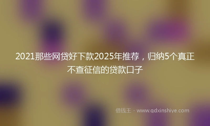 2021那些网贷好下款2025年推荐，归纳5个真正不查征信的贷款口子
