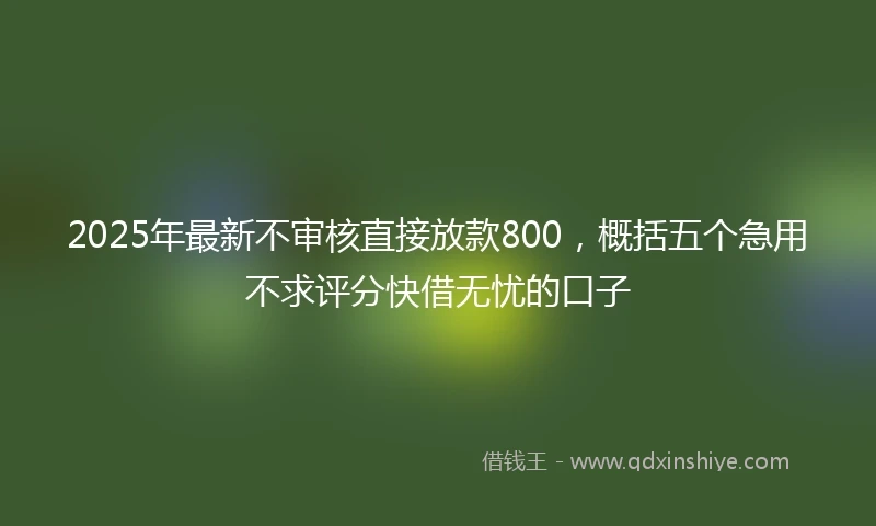 2025年最新不审核直接放款800，概括五个急用不求评分快借无忧的口子
