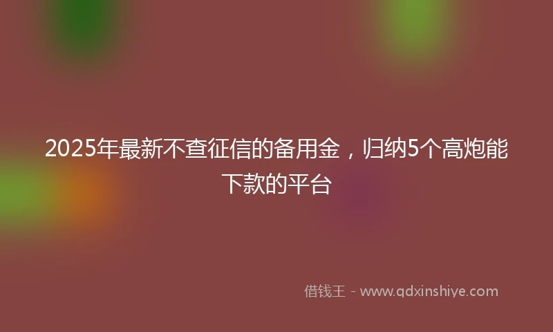 2025年最新不查征信的备用金，归纳5个高炮能下款的平台