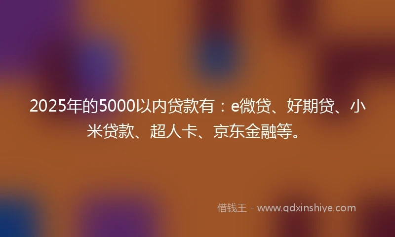 2025年的5000以内贷款有：e微贷、好期贷、小米贷款、超人卡、京东金融等。