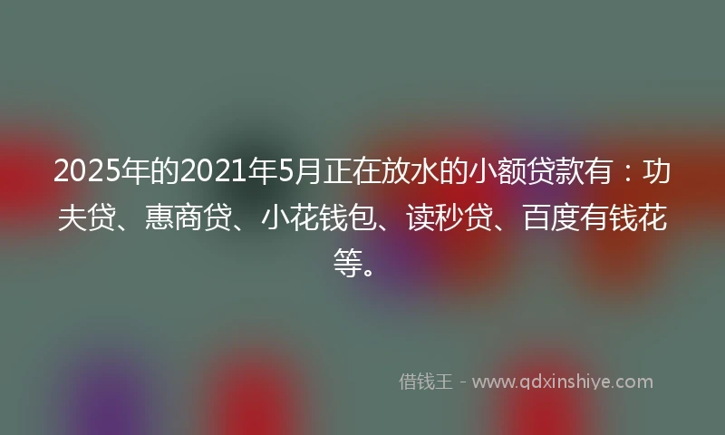2025年的2021年5月正在放水的小额贷款有：功夫贷、惠商贷、小花钱包、读秒贷、百度有钱花等。