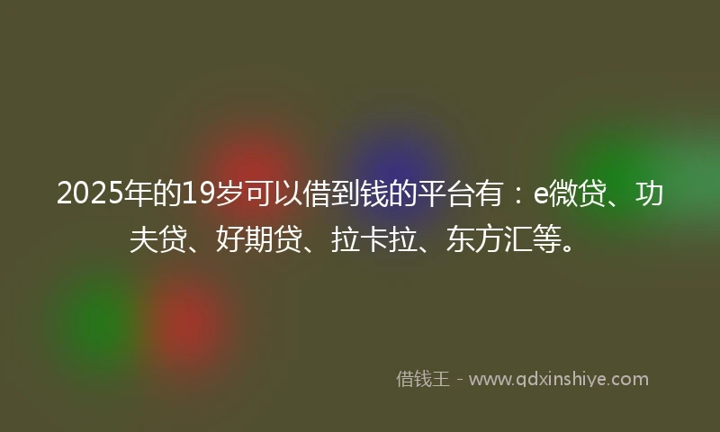 2025年的19岁可以借到钱的平台有：e微贷、功夫贷、好期贷、拉卡拉、东方汇等。
