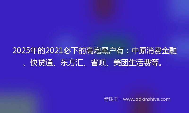 2025年的2021必下的高炮黑户有：中原消费金融、快贷通、东方汇、省呗、美团生活费等。