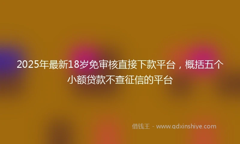 2025年最新18岁免审核直接下款平台，概括五个小额贷款不查征信的平台