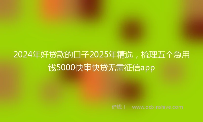 2024年好贷款的口子2025年精选，梳理五个急用钱5000快审快贷无需征信app