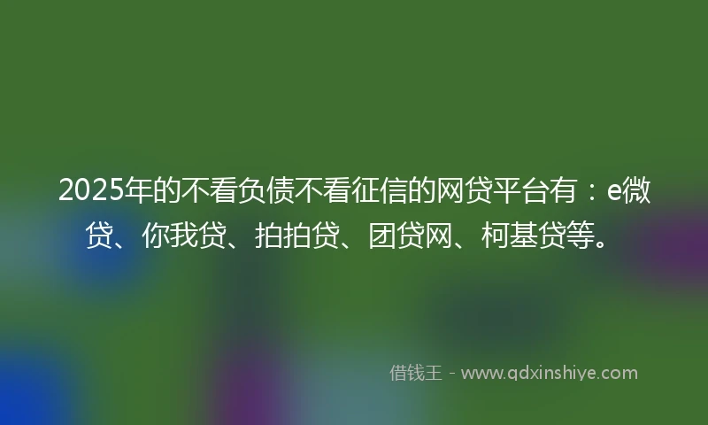 2025年的不看负债不看征信的网贷平台有：e微贷、你我贷、拍拍贷、团贷网、柯基贷等。