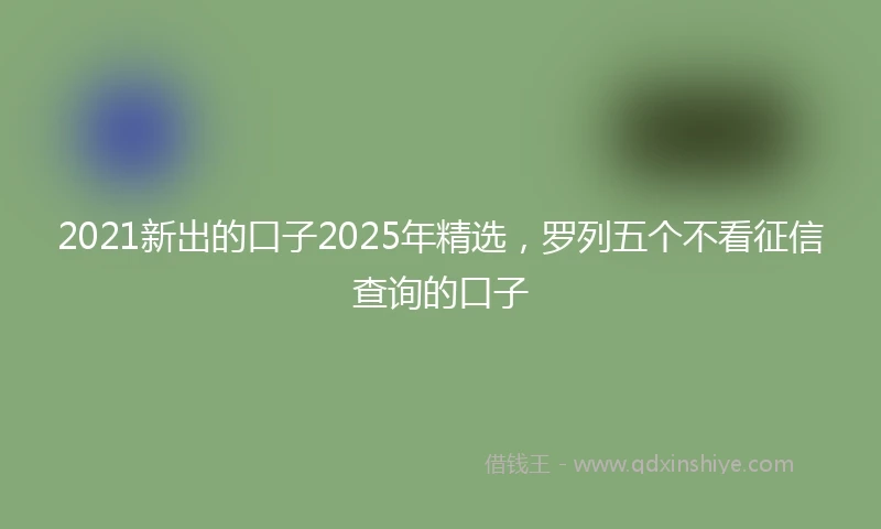2021新出的口子2025年精选，罗列五个不看征信查询的口子