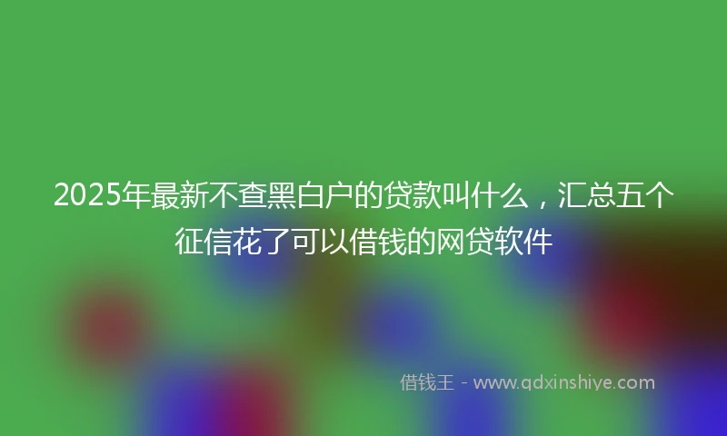 2025年最新不查黑白户的贷款叫什么，汇总五个征信花了可以借钱的网贷软件