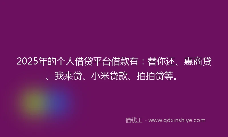 2025年的个人借贷平台借款有：替你还、惠商贷、我来贷、小米贷款、拍拍贷等。