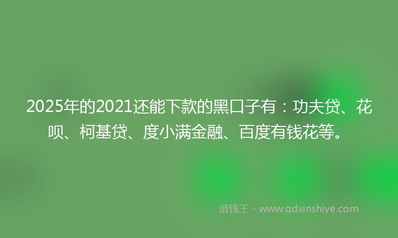 2025年的2021还能下款的黑口子有：功夫贷、花呗、柯基贷、度小满金融、百度有钱花等。
