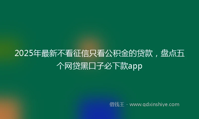 2025年最新不看征信只看公积金的贷款，盘点五个网贷黑口子必下款app