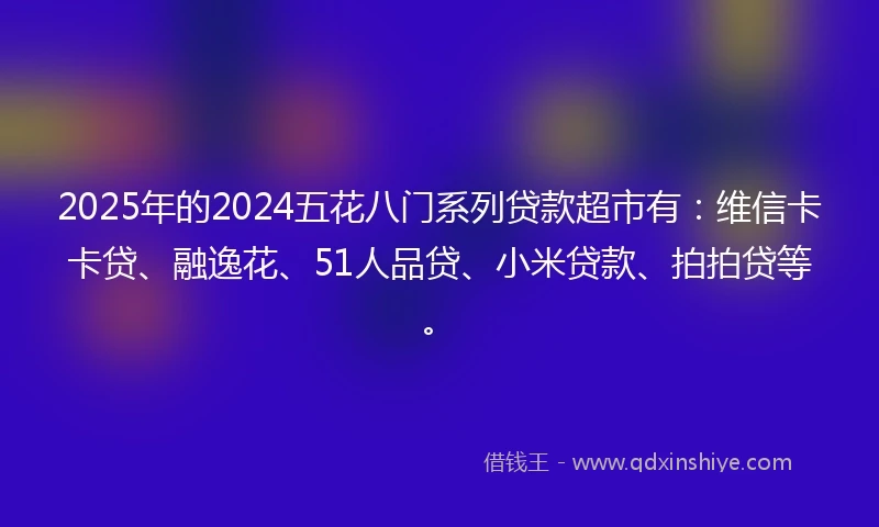 2025年的2024五花八门系列贷款超市有：维信卡卡贷、融逸花、51人品贷、小米贷款、拍拍贷等。