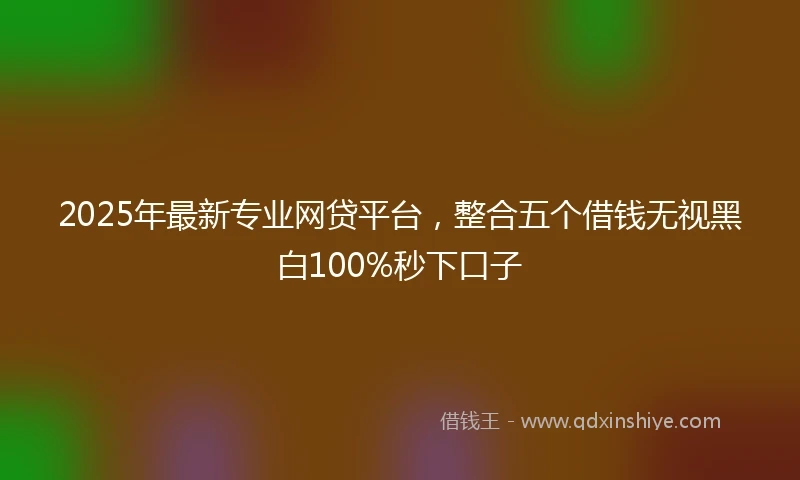 2025年最新专业网贷平台，整合五个借钱无视黑白100%秒下口子