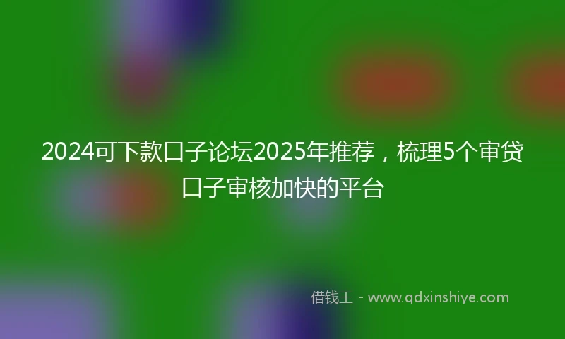 2024可下款口子论坛2025年推荐，梳理5个审贷口子审核加快的平台