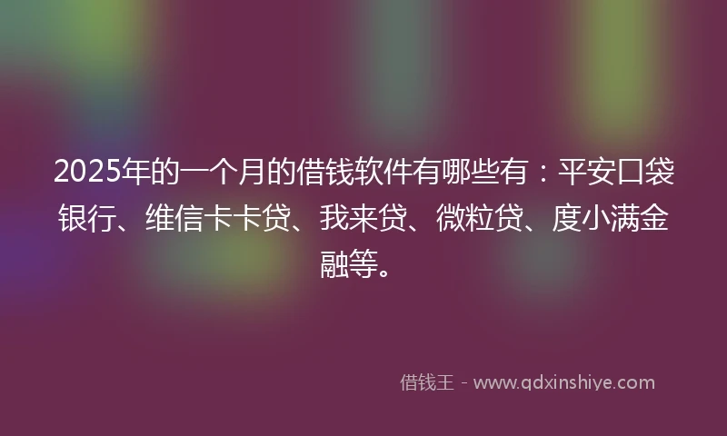2025年的一个月的借钱软件有哪些有：平安口袋银行、维信卡卡贷、我来贷、微粒贷、度小满金融等。