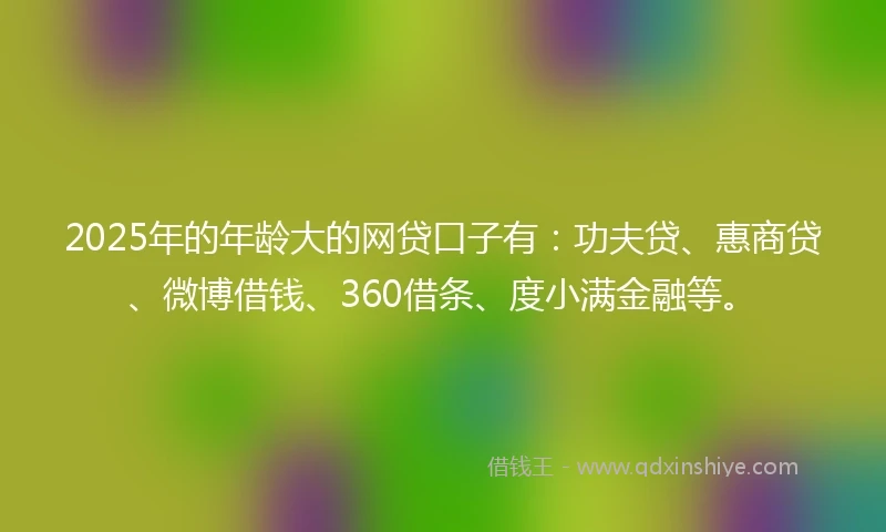 2025年的年龄大的网贷口子有：功夫贷、惠商贷、微博借钱、360借条、度小满金融等。