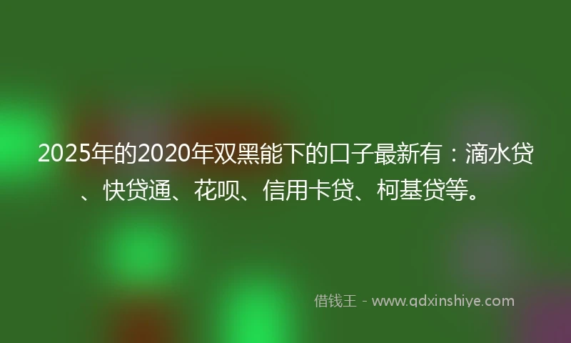 2025年的2020年双黑能下的口子最新有：滴水贷、快贷通、花呗、信用卡贷、柯基贷等。