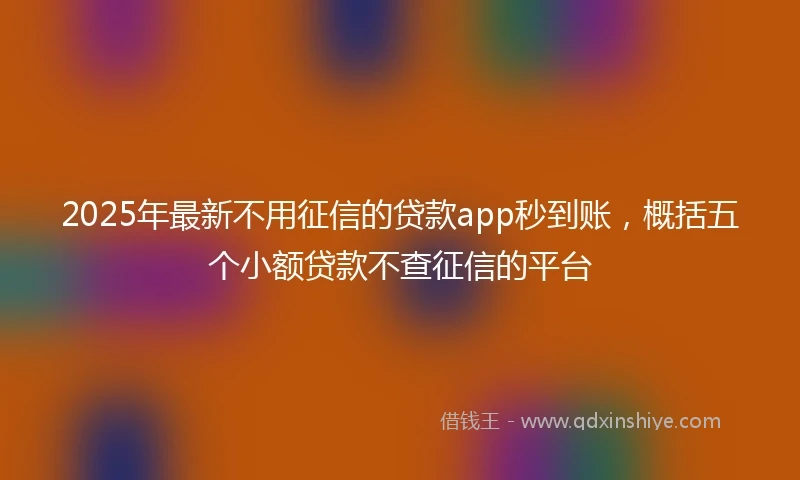 2025年最新不用征信的贷款app秒到账，概括五个小额贷款不查征信的平台