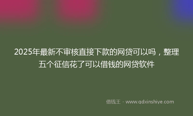 2025年最新不审核直接下款的网贷可以吗，整理五个征信花了可以借钱的网贷软件