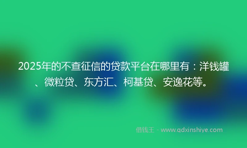 2025年的不查征信的贷款平台在哪里有：洋钱罐、微粒贷、东方汇、柯基贷、安逸花等。