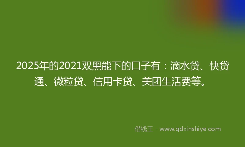 2025年的2021双黑能下的口子有：滴水贷、快贷通、微粒贷、信用卡贷、美团生活费等。