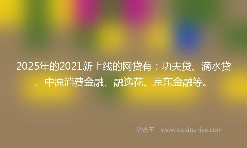 2025年的2021新上线的网贷有：功夫贷、滴水贷、中原消费金融、融逸花、京东金融等。