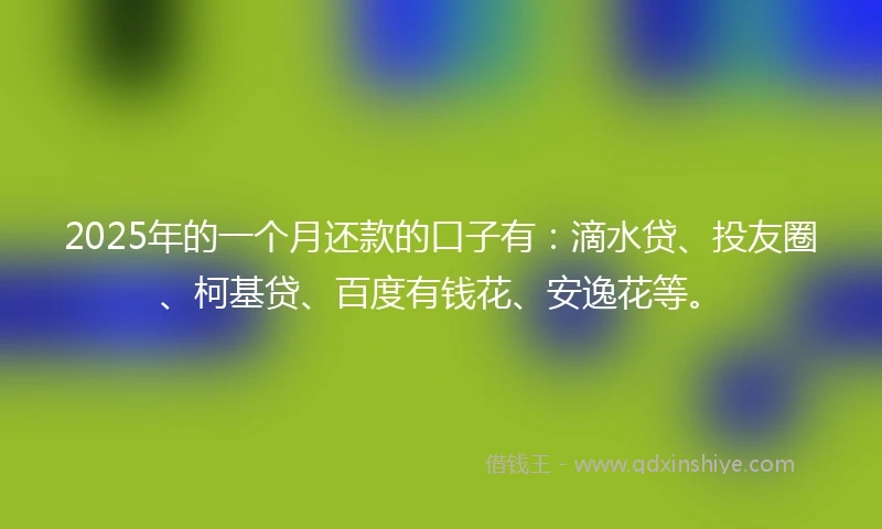 2025年的一个月还款的口子有：滴水贷、投友圈、柯基贷、百度有钱花、安逸花等。