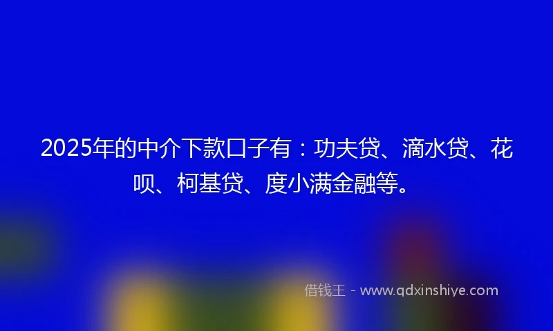 2025年的中介下款口子有：功夫贷、滴水贷、花呗、柯基贷、度小满金融等。