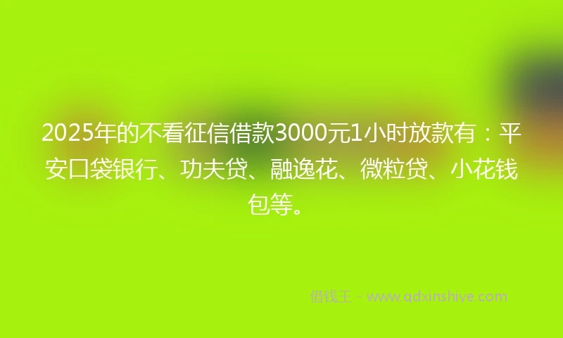 2025年的不看征信借款3000元1小时放款有：平安口袋银行、功夫贷、融逸花、微粒贷、小花钱包等。