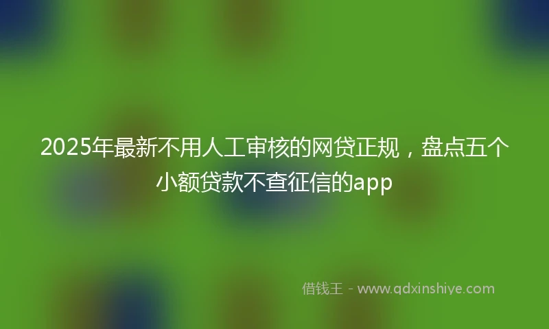 2025年最新不用人工审核的网贷正规，盘点五个小额贷款不查征信的app