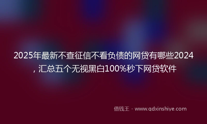 2025年最新不查征信不看负债的网贷有哪些2024，汇总五个无视黑白100%秒下网贷软件