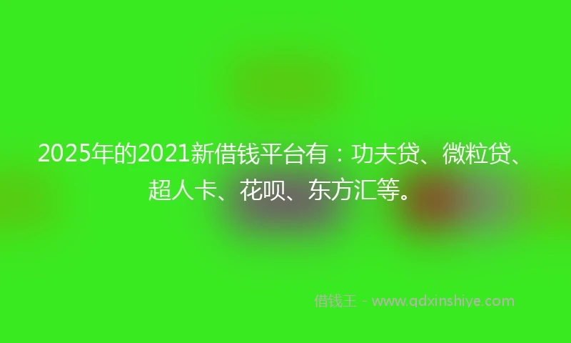 2025年的2021新借钱平台有：功夫贷、微粒贷、超人卡、花呗、东方汇等。