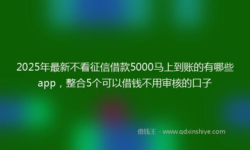 2025年最新不看征信借款5000马上到账的有哪些app，整合5个可以借钱不用审核的口子